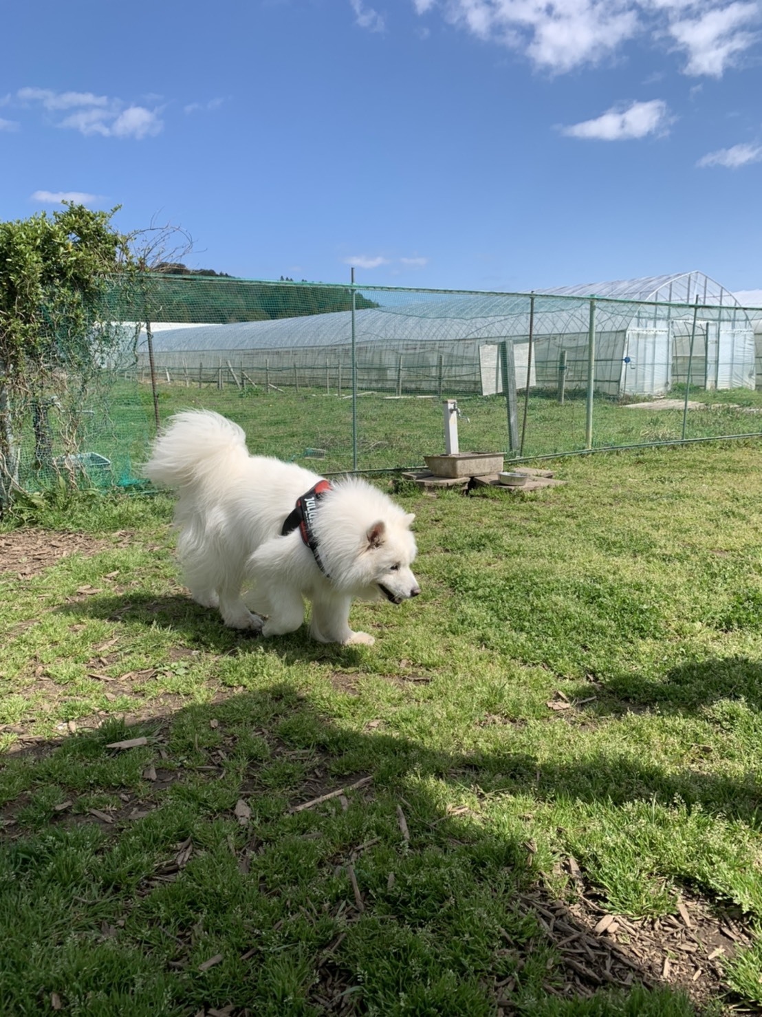 3月のお出かけⅡ_e0018604_17511640.jpg