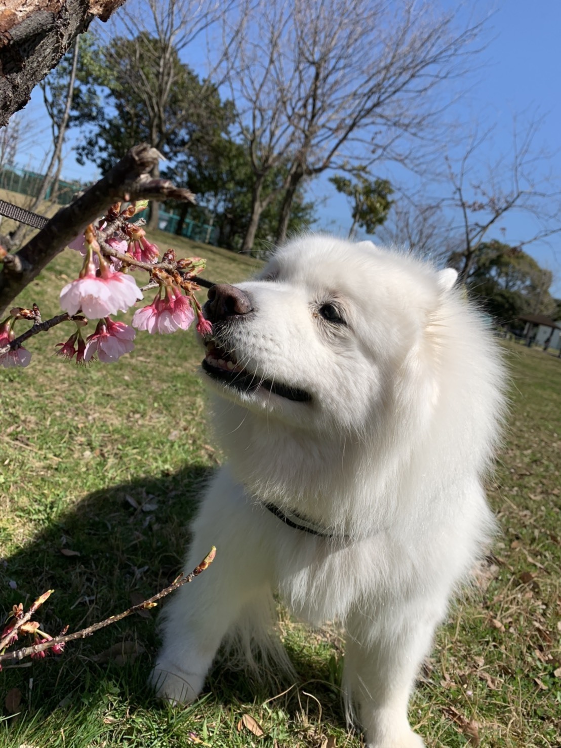 3月のお出かけⅡ_e0018604_17514930.jpg