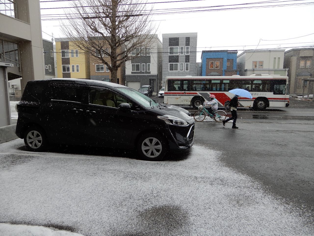 寒い中雪どけは進む_c0025115_21564280.jpg