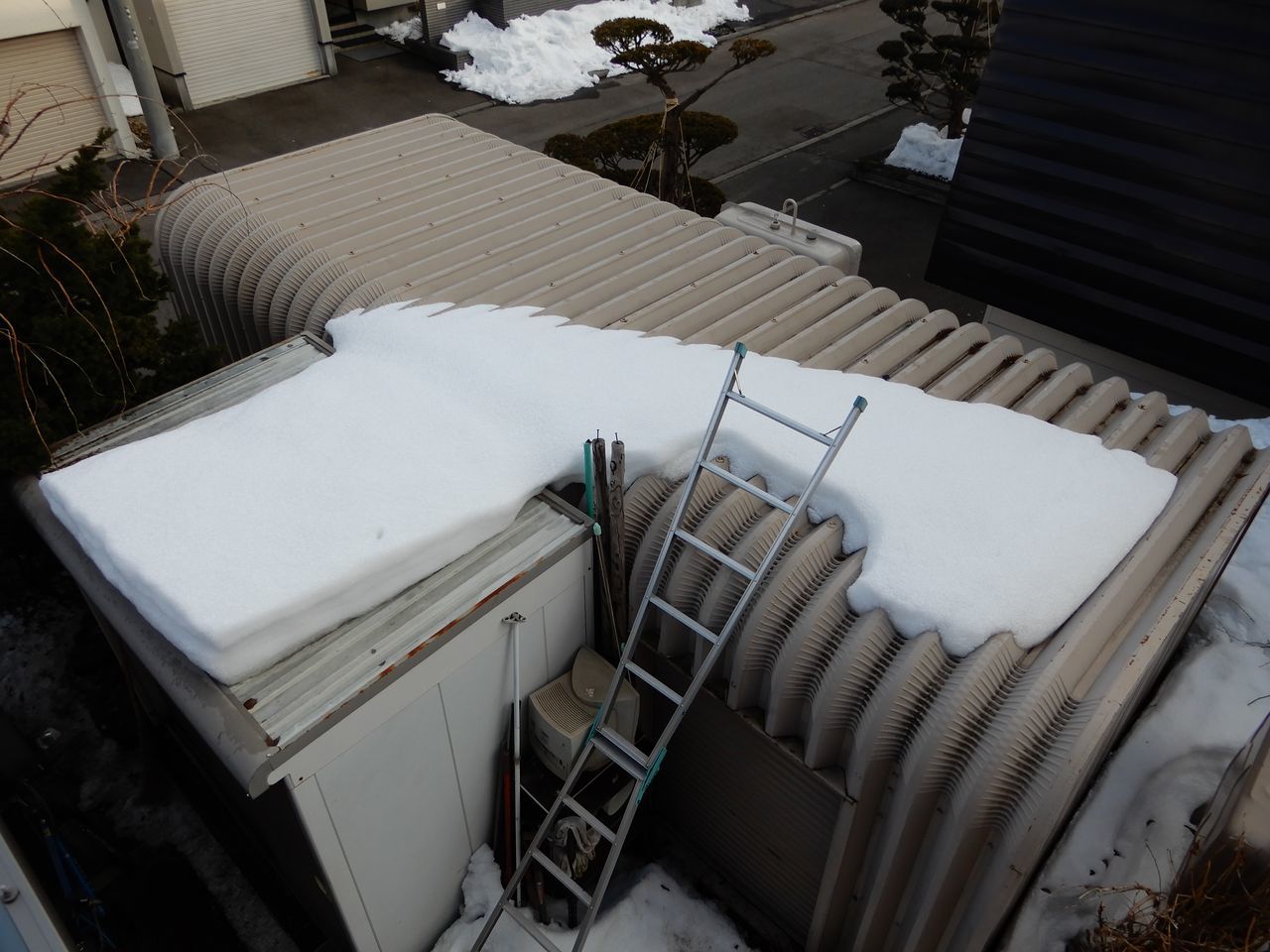 寒い中雪どけは進む_c0025115_22045029.jpg