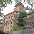 日本でも医療崩壊が始まっている - トリアージを静かに示唆する愛知県_c0315619_14065335.png