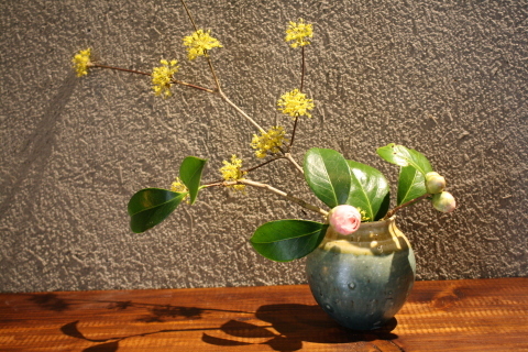 春咲 harusaki_a0260022_14483791.jpg