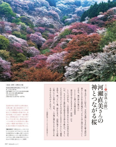 婦人画報　2020年4月号　吉野山が表紙です！_e0154524_14022474.jpg