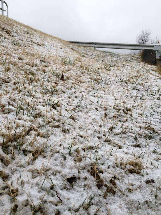 美味しいスパークリングワインと遅れてきた積雪_f0076731_21180749.jpg