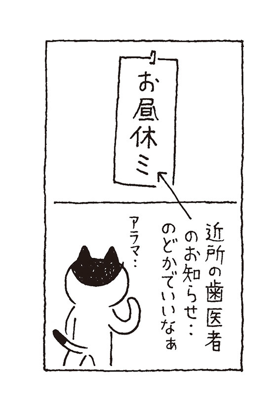 Nyanda~な日々：122_a0249132_13454040.jpg