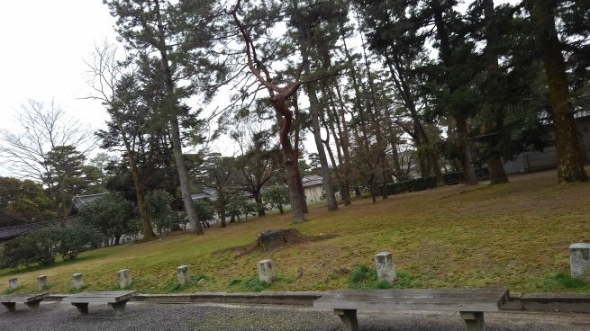 京都御所_c0236632_13592209.jpg