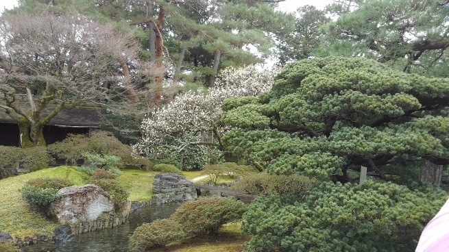 京都御所_c0236632_14211875.jpg
