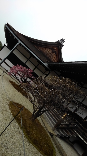 京都御所_c0236632_14250531.jpg