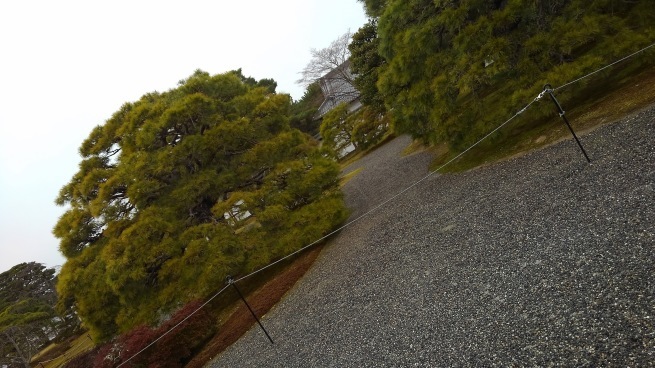 京都御所_c0236632_14260442.jpg