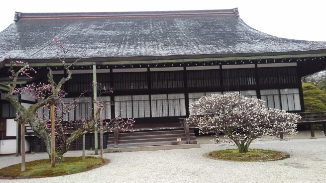 仙洞御所 京都大宮御所_c0236632_14311748.jpg