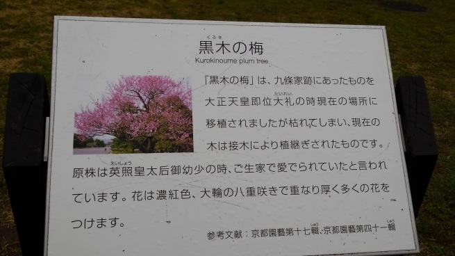 仙洞御所 京都大宮御所_c0236632_14410994.jpg