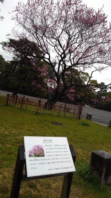 仙洞御所 京都大宮御所_c0236632_14414238.jpg
