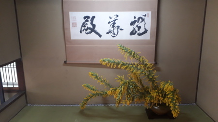 今日の京都　3月16日 泉涌寺_d0106134_12205851.jpg