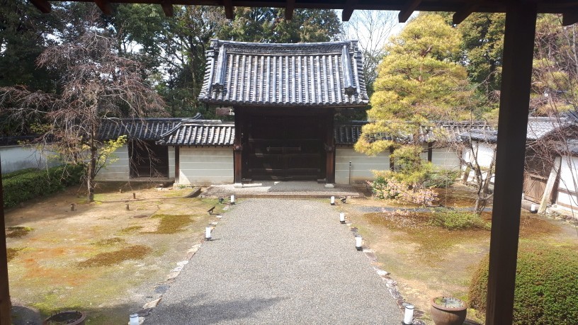 今日の京都　3月16日 泉涌寺_d0106134_12205899.jpg