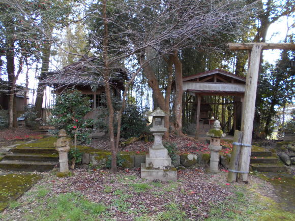 因幡国の国分寺址_a0237545_09585287.jpg