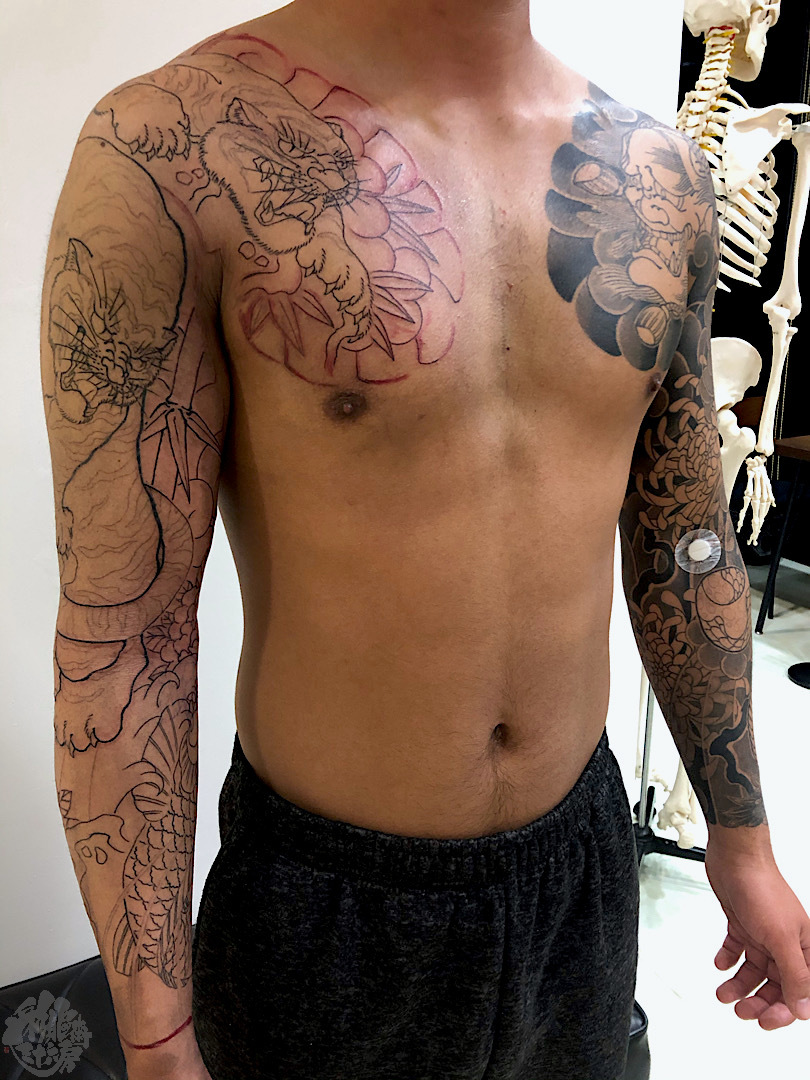 右腕九分 虎二匹 鯉 牡丹 彩躯術三十六房 Chamber36tattoostudio