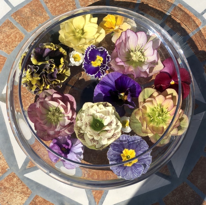 フローティングプレートのお花達♫と、北欧〝Nordgreen〟さんとコラボレーション♡_a0396654_22554019.jpeg
