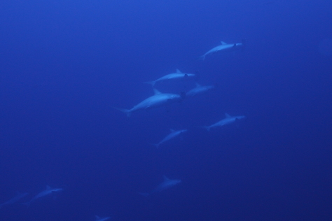 3月16日 良いお天気に恵まれました!_d0113459_17483906.jpg
