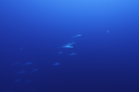 3月16日 良いお天気に恵まれました!_d0113459_17484531.jpg