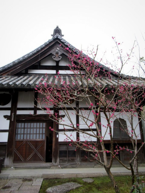 観心寺・創作精進料理 庫裏「KU-RI」 ＊ ３月のランチをいただきました♪_f0236260_16144463.jpg