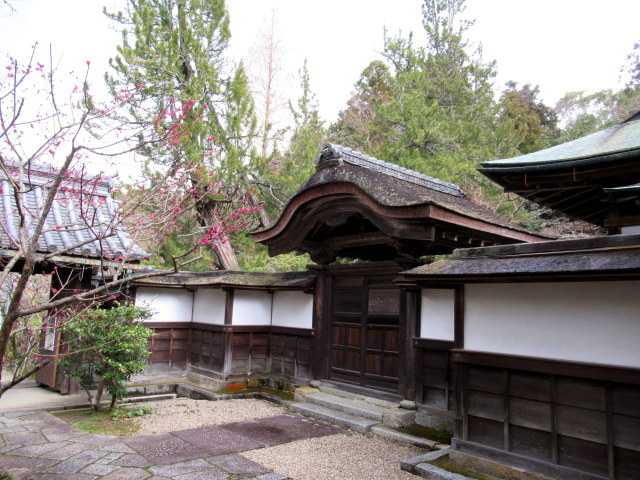 観心寺・創作精進料理 庫裏「KU-RI」 ＊ ３月のランチをいただきました♪_f0236260_16273388.jpg