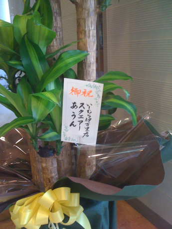 幸福の木に花が&#128144;_a0077071_17035838.jpg