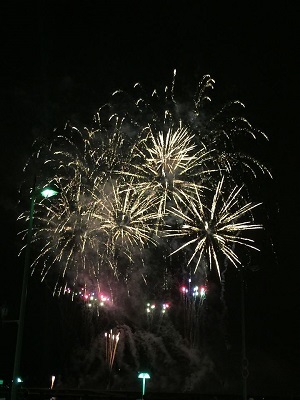 いつもの海岸で ゴミ拾い散歩_e0123286_19110640.jpg