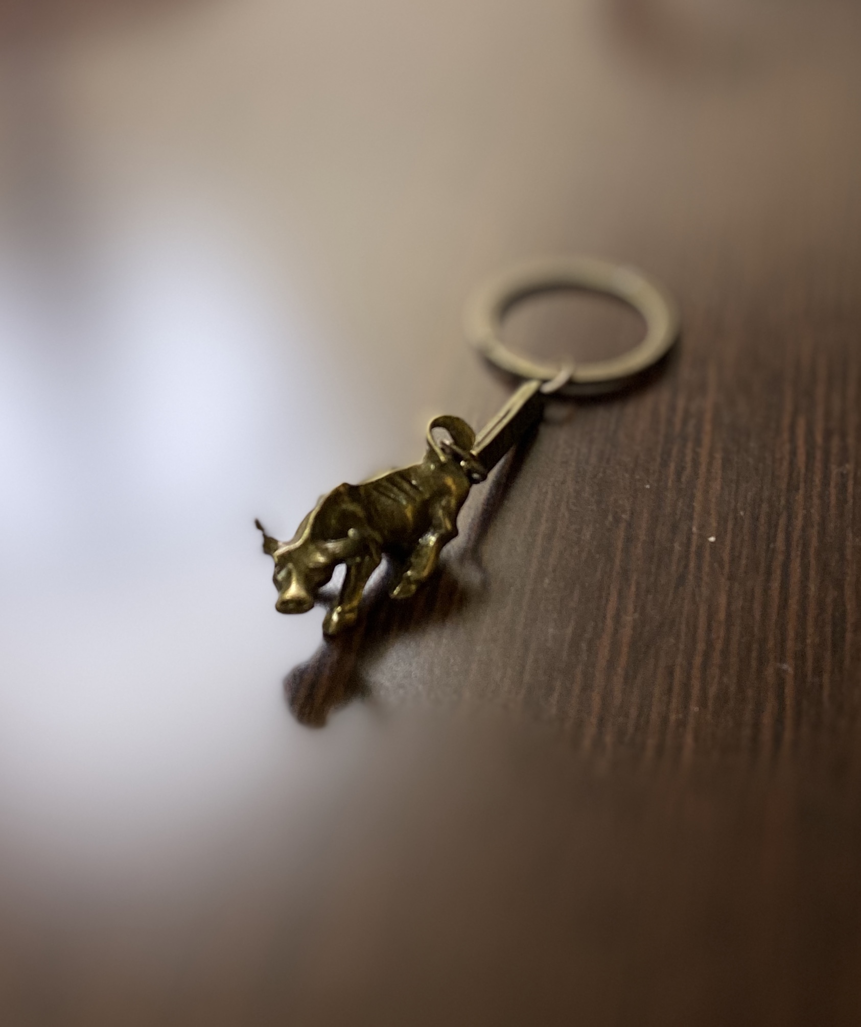 チャージングブル ちょんまげブログ