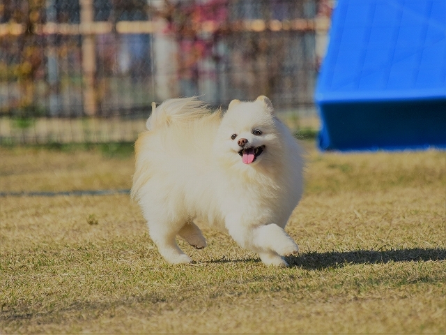 病変その後_d0360206_00305899.jpg