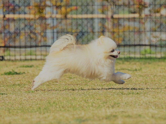 病変その後_d0360206_00310267.jpg