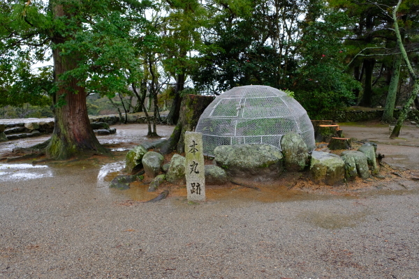 三重の旅_e0000910_10411543.jpg