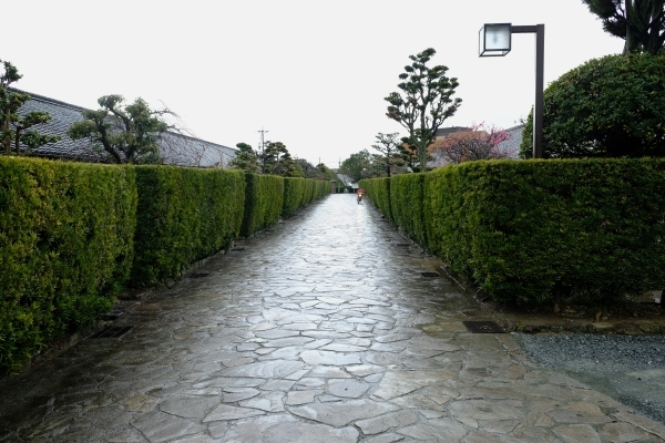 三重の旅_e0000910_10475284.jpg