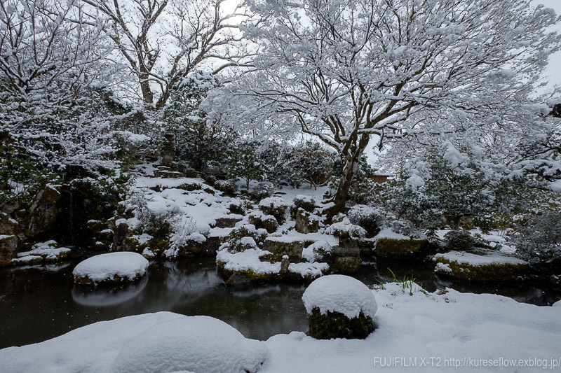 雪の大原　実光院_b0325840_23231439.jpg