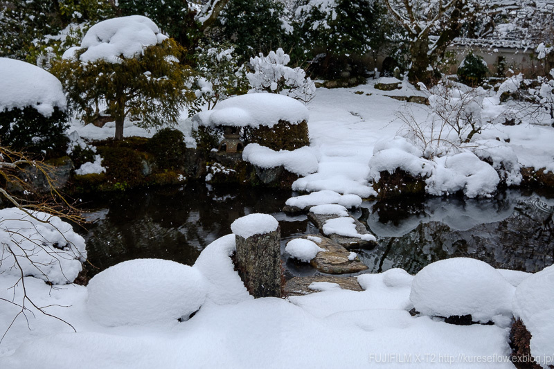 雪の大原　実光院_b0325840_23233821.jpg