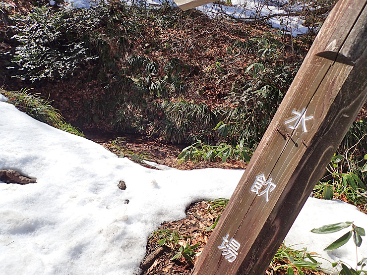 大万木山④＊雪の山頂＊_f0214649_14271592.jpg