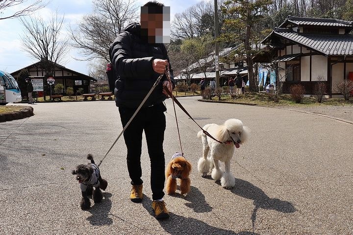 ぎふ清流里山公園へ行ってきました。_b0111376_15305678.jpg