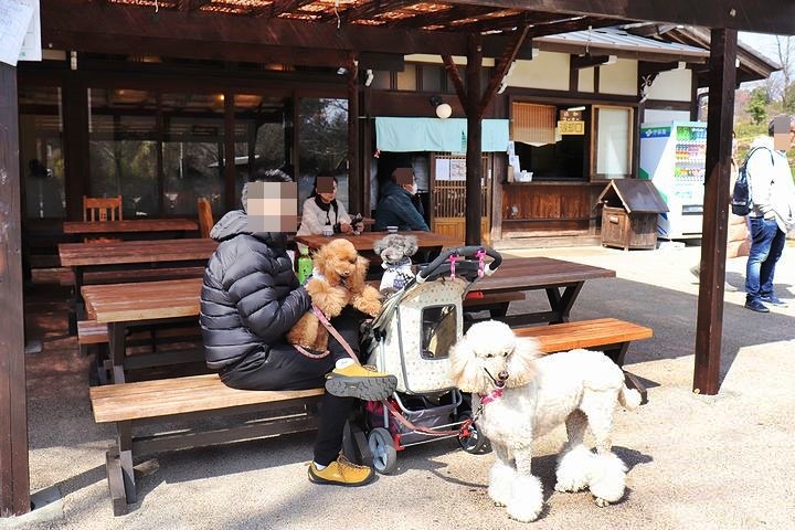 ぎふ清流里山公園へ行ってきました。_b0111376_15463524.jpg