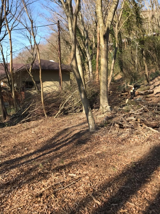 2020年3月17日　　寒かったね_b0098584_19020636.jpeg