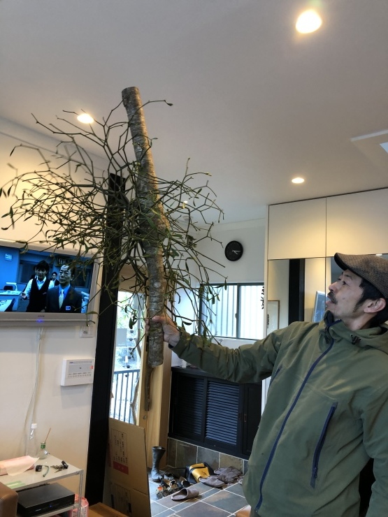 2020年3月17日　　寒かったね_b0098584_19022295.jpeg