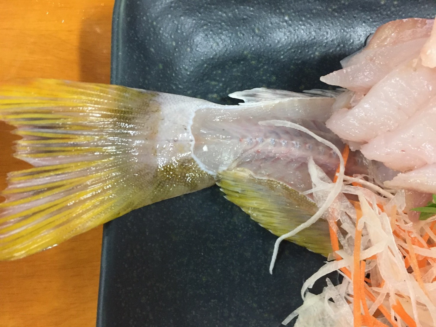 おはよう堂 鮎並 ヨロイイタチウオ 裏luz おはよう堂 鮎並 ヨロイイタチウオ 裏luz