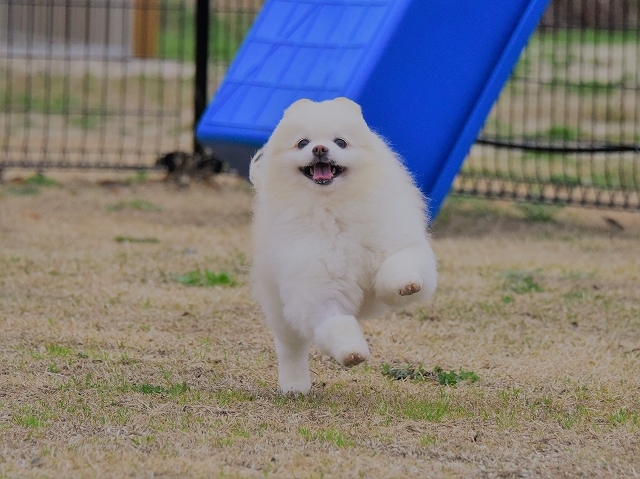前払いでお願いします_d0360206_00023215.jpg