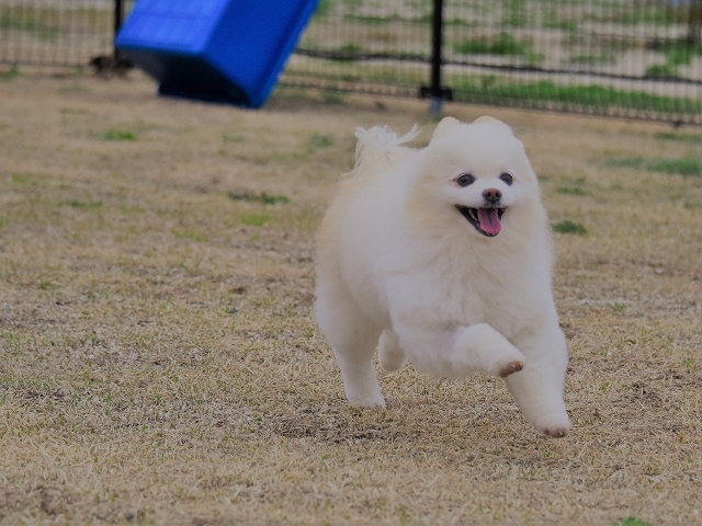 前払いでお願いします_d0360206_00023714.jpg