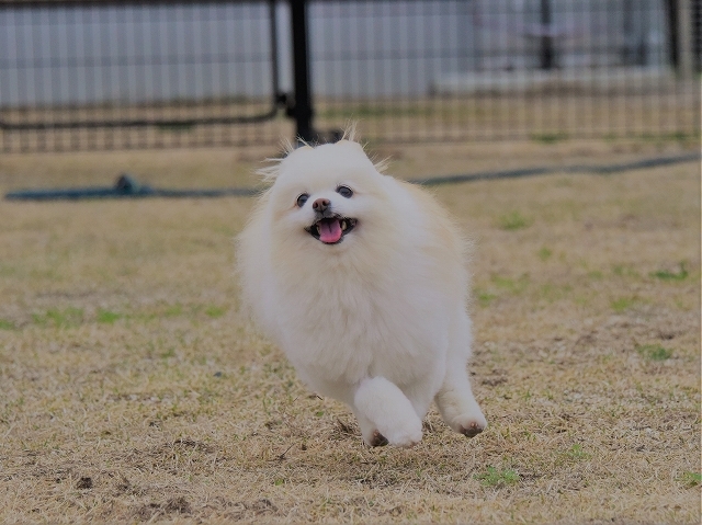 前払いでお願いします_d0360206_00024577.jpg