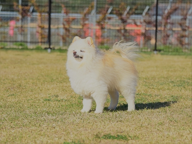 前払いでお願いします_d0360206_00025849.jpg