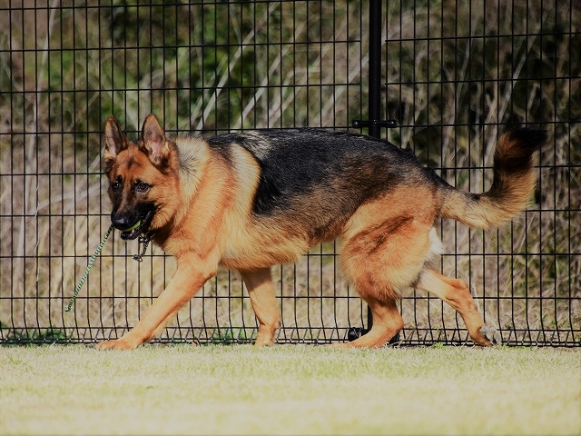 もしもわたしが倒れたら_d0360206_00143690.jpg