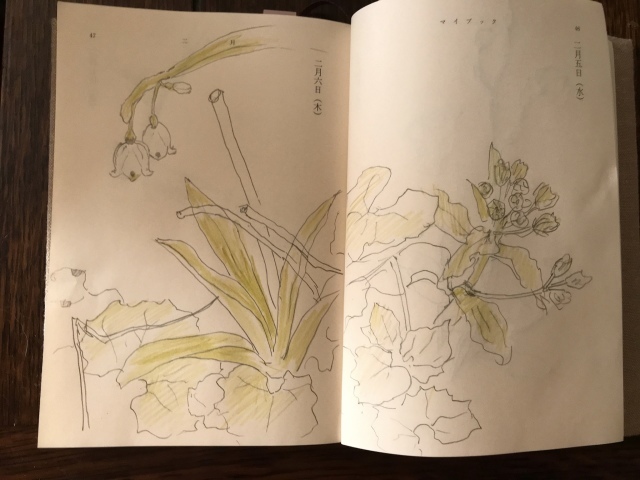 春進む庭_d0101846_07321994.jpeg