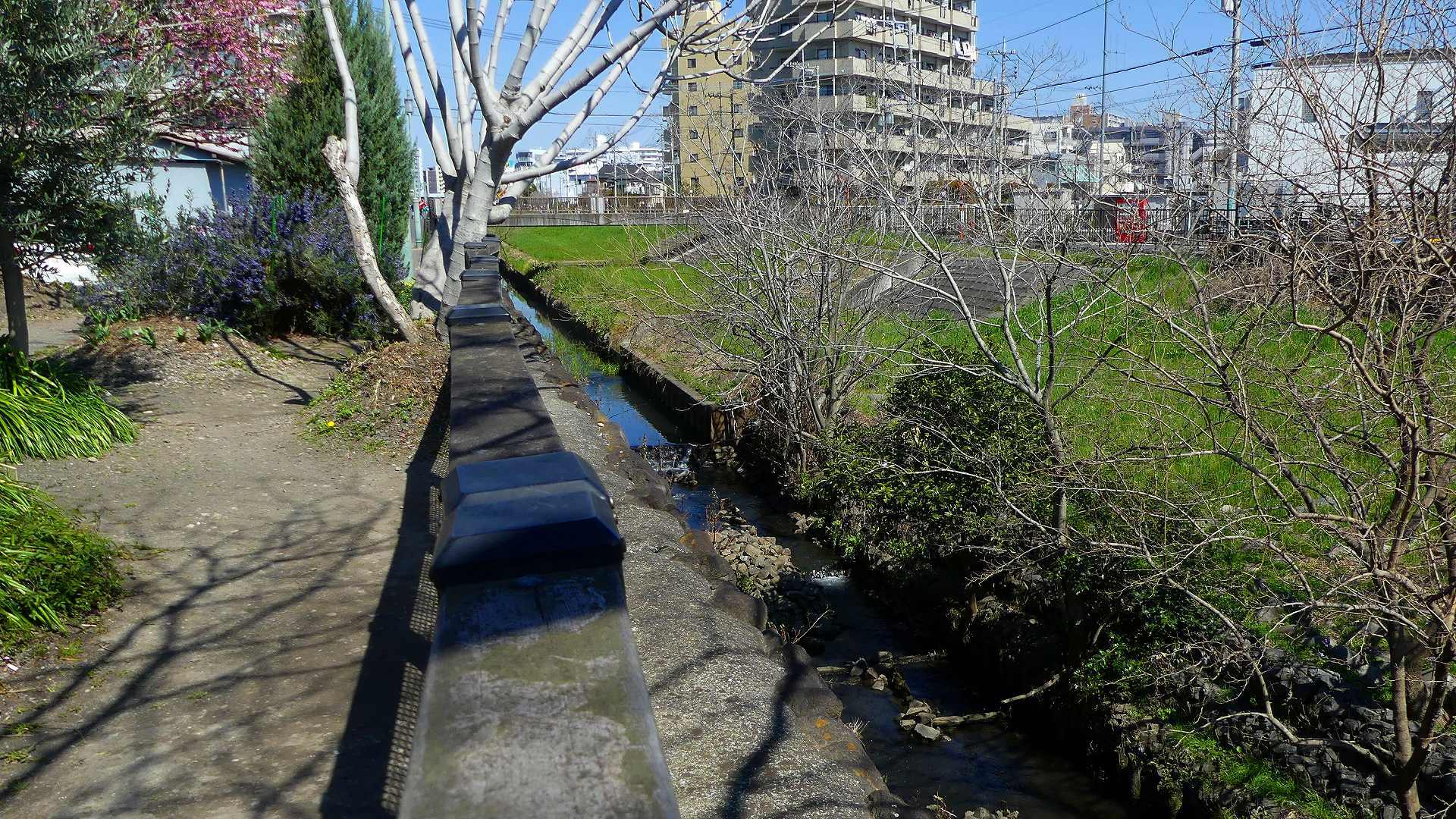 一歩前へ! 【 2020 3/18(水) 】_a0185081_13250041.jpg