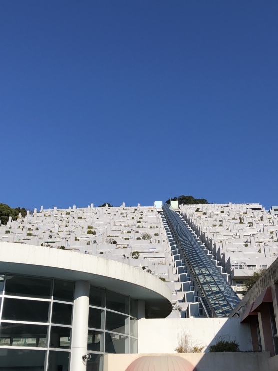 2020年3月18日　行ったり来たり_b0098584_20450196.jpeg