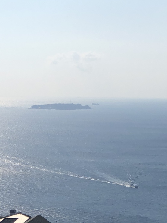 2020年3月18日　行ったり来たり_b0098584_20451883.jpeg