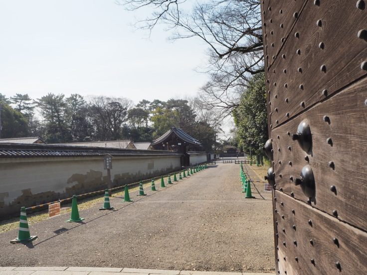 京の桜便り＜咲いてた編＞_a0376293_20374199.jpg